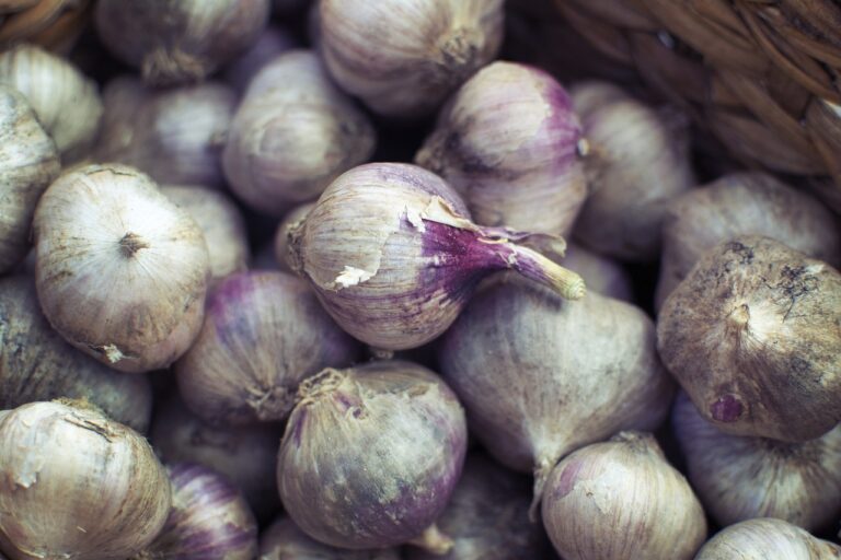 happy hour in New York 00003 1 768x512